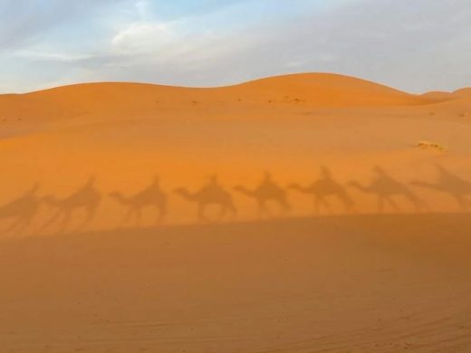 8 Days from Fes to Marrakech
