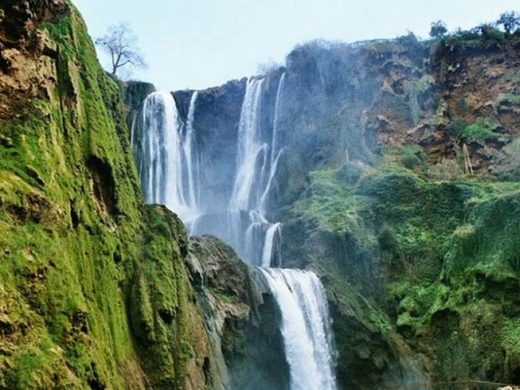 Day Trip Marrakech to Ouzoud Falls
